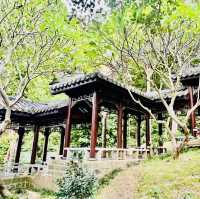 深圳匯芳園😍深圳園林代表作