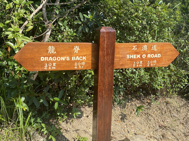 Dragon’s Back 🐉🗻 on Hong Kong Island: The Iconic Trail 🇭🇰