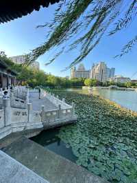 天津|人民公園~免費遛娃好去處。