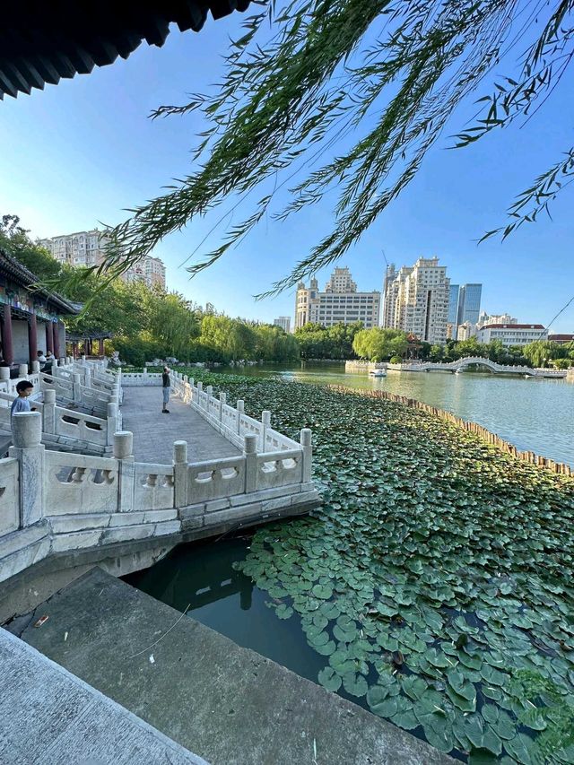 天津|人民公園~免費遛娃好去處。