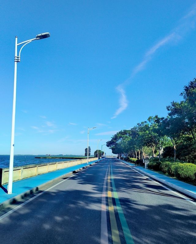 淀山湖風景區。
