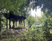 成都的"人民公園"充滿濃厚的市井氣息!