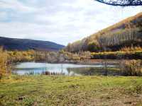 阿爾山森林公園不購票自駕最佳路線。