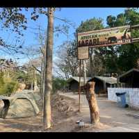 Camping in Hongkong farm 