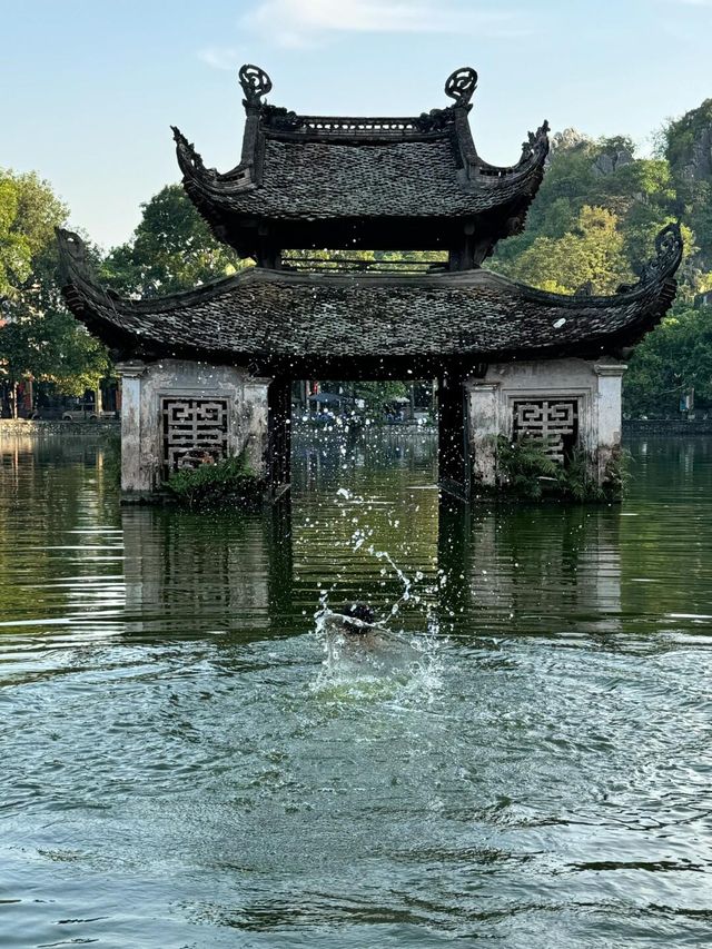 越南天福寺，小眾景點，特別適合古建築愛好者。