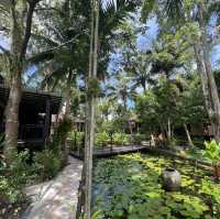 Tides & Treasures: A Phuket Adventure