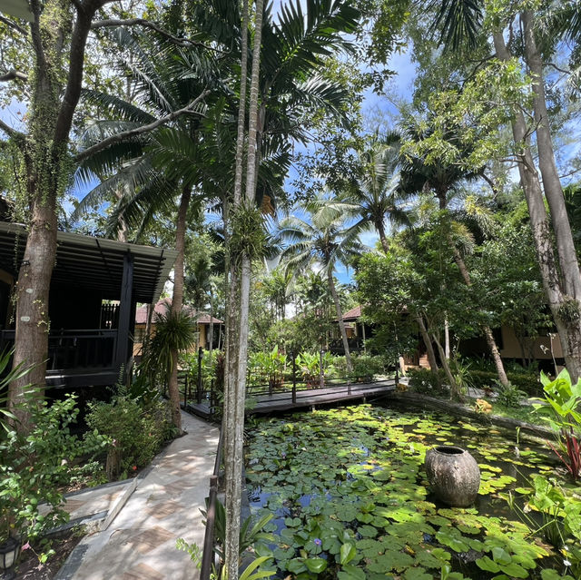 Tides & Treasures: A Phuket Adventure
