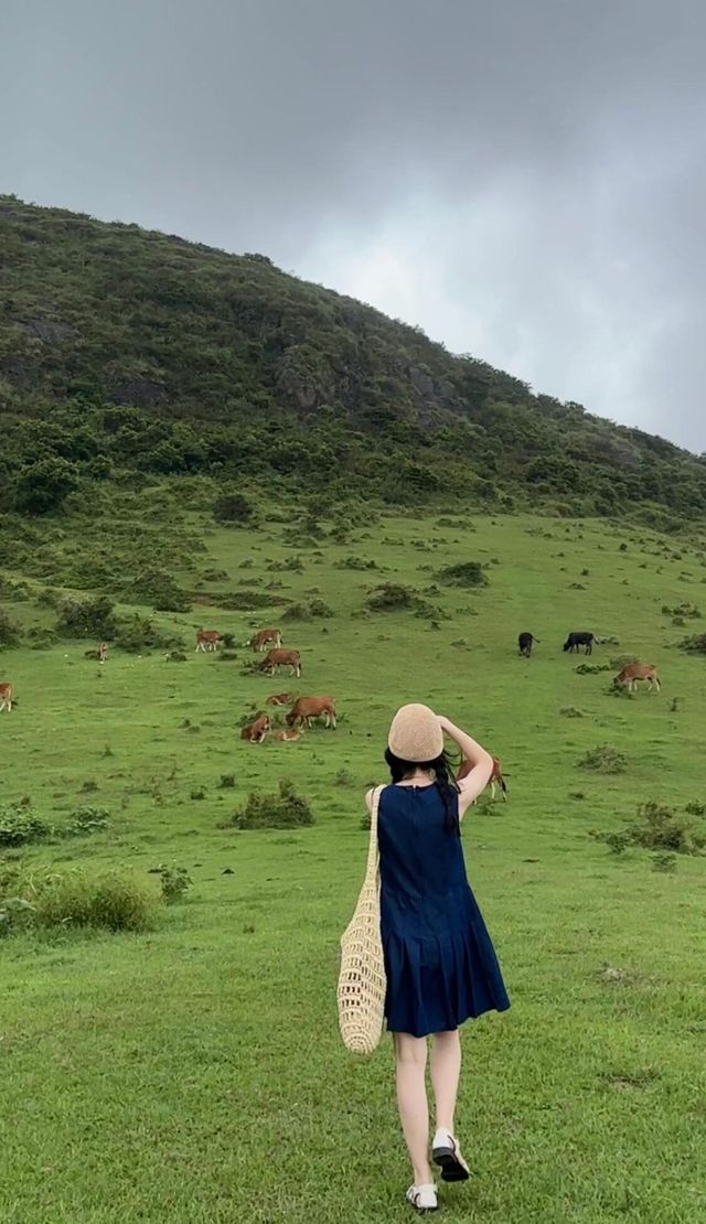 福清大姆山草場打卡拍照攻略。 福清大姆山草場打卡拍照攻略。