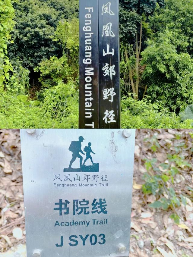 鳳凰山：神秘吸引力解密，你不知道的美麗景色。
