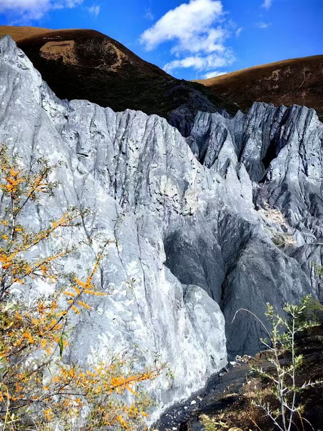 深秋的四姑娘山。