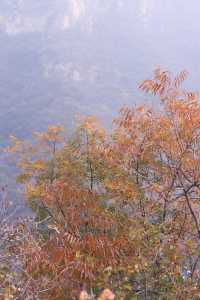 石家莊每周一山｜沒有難度的馬路垴。