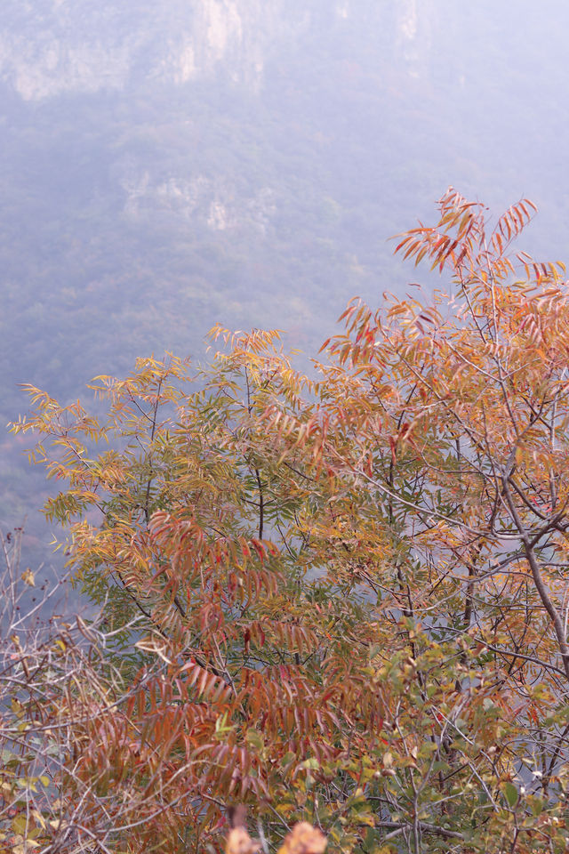 石家莊每周一山｜沒有難度的馬路垴。