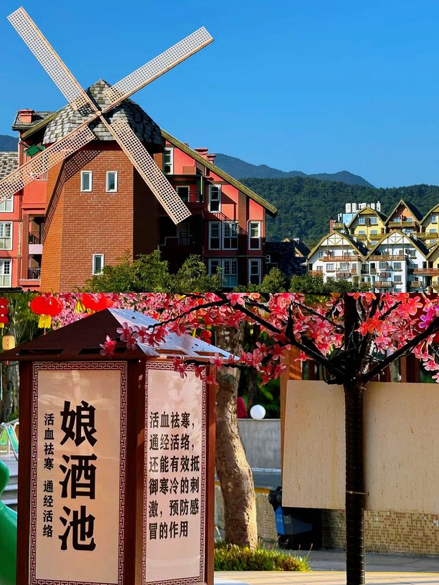 探秘河源巴伐利亞莊園，邂逅異國風情。