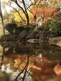先看大雁塔紅楓，再看千年古銀杏樹吧。