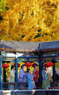 上海｜穿越紅樓，來大觀園賞秋。