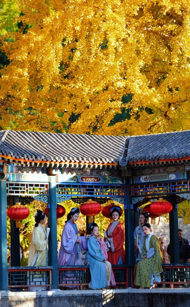 上海｜穿越紅樓，來大觀園賞秋。