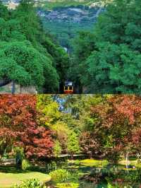 亞特蘭大位於 Georgia 州，是美國東南部最大的城市。