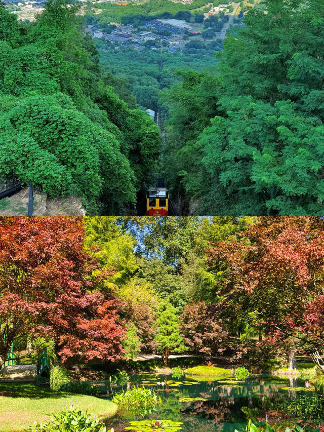 亞特蘭大位於 Georgia 州，是美國東南部最大的城市。