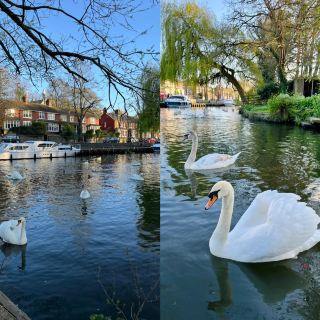 Norfolk Travel Guide