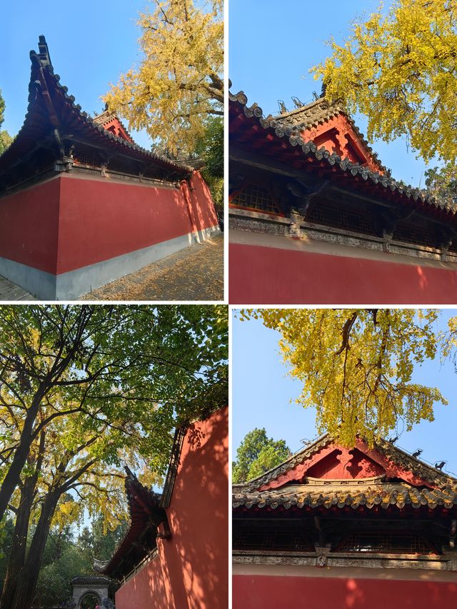 武侯祠的秋天．南陽。