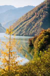 四川小眾紅葉秘境一藏在山裡的扒昔加古寨。