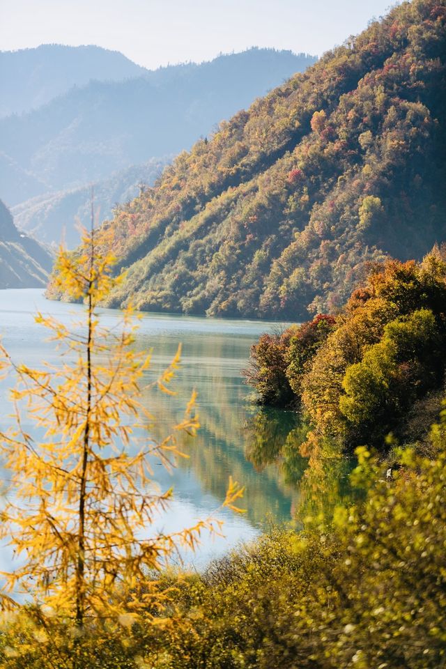 四川小眾紅葉秘境一藏在山裡的扒昔加古寨。