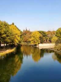 閔行文化公園。