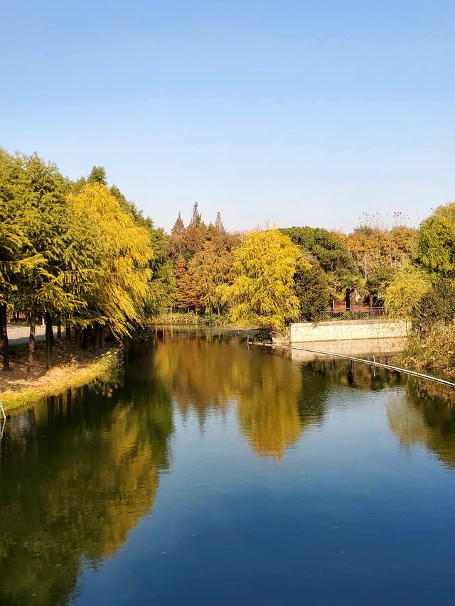 閔行文化公園。