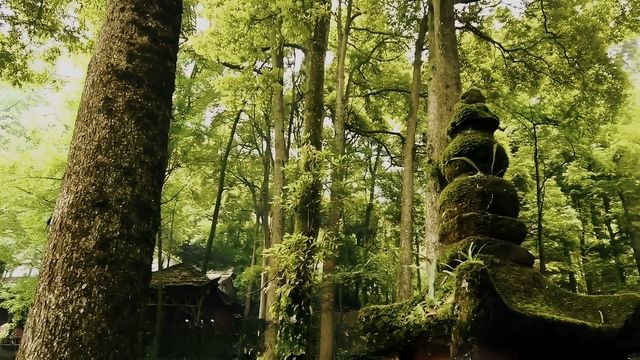 大覺山。