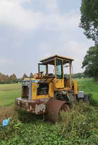 廊下郊野公園。
