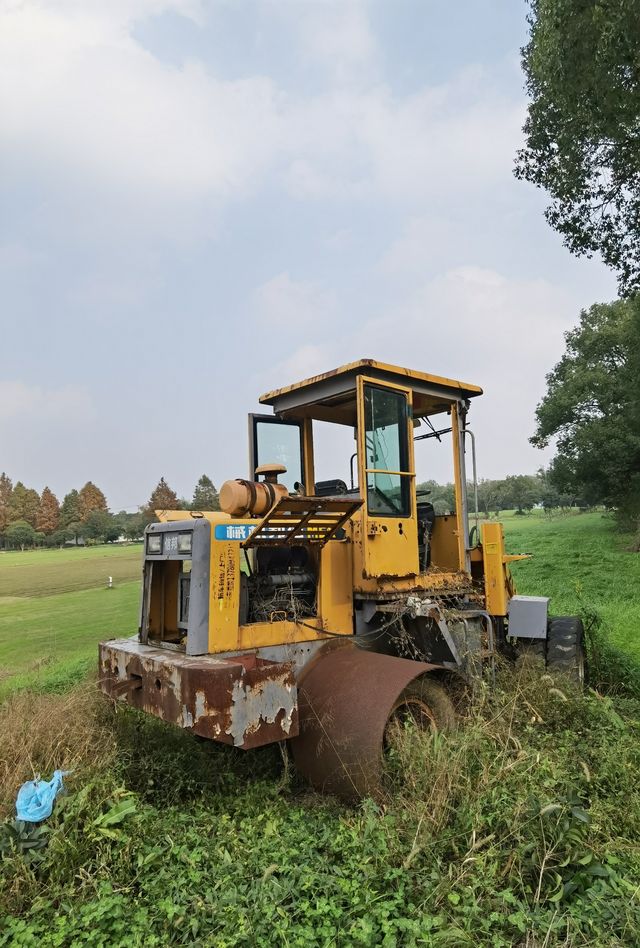 廊下郊野公園。