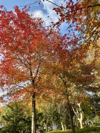 上海，和平公園