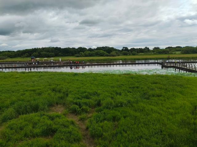 撫遠濕地公園