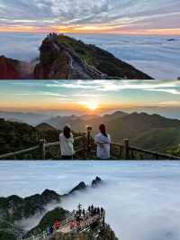 廣東人狂喜出發 3 小時到達看霧淞雲海美哭…