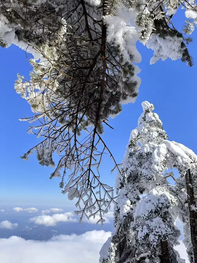 와옥산 주말 여행
