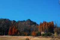 長樂林場森林公園