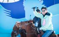 2024新疆熱雪節暨伊犁昭蘇天馬冰雪旅遊季