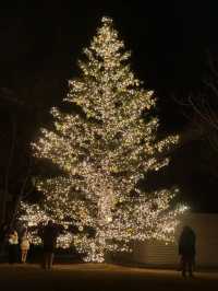 Experience a Romantic Christmas Near Tokyo: Karuizawa Kogen Church