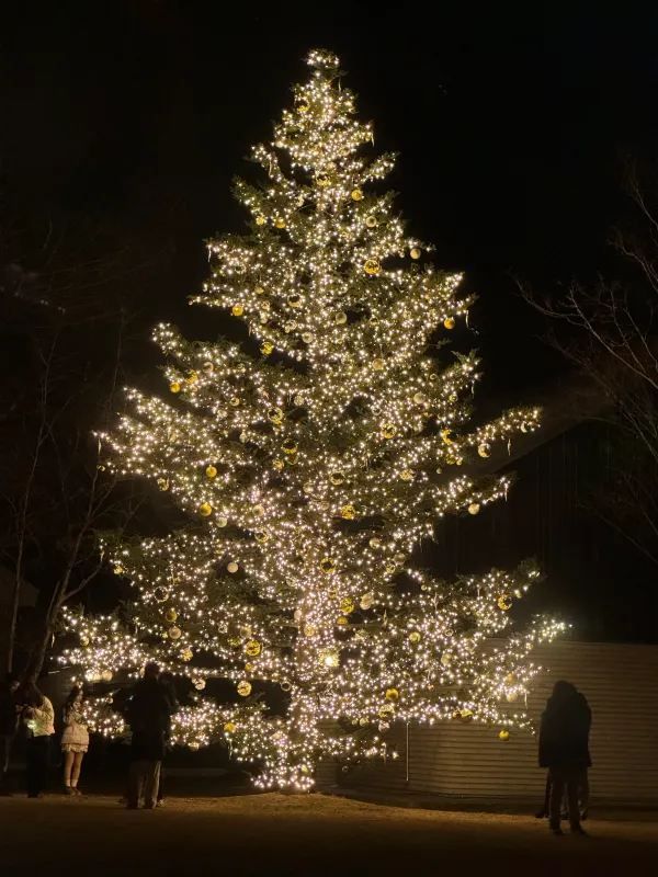 Experience a Romantic Christmas Near Tokyo: Karuizawa Kogen Church