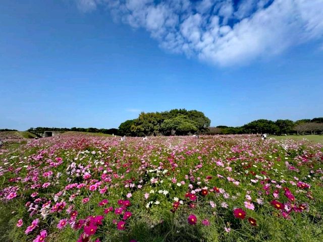 海之中道海濱公園