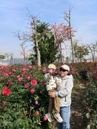 珠海花海長廊遛娃之旅