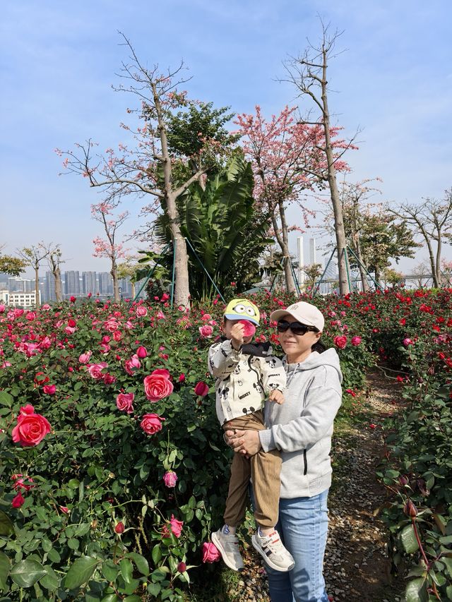 珠海花海長廊遛娃之旅