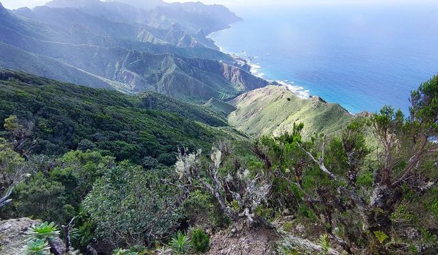 特內里費島的Casanaga 和Benijo