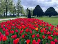 Complete Guide to the Hampton Court Palace Tulip Festival