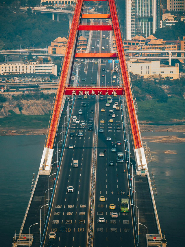 The Most Beautiful Free Viewing Platform: 8D City Views of Chongqing!