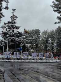 昆明大觀公園雪景如畫