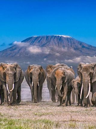 10-Day Kenya Trip for Lunar New Year: A Great Time Awaits You!