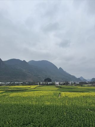 萬峰林2025.2.2實況