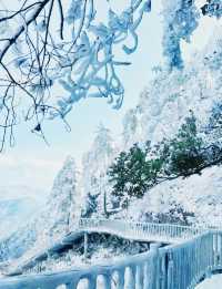 在光霧山，邂逅冬日限定的童話夢境