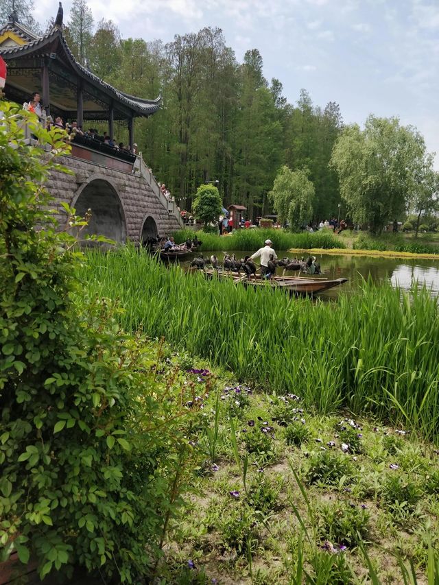 泰州旅遊